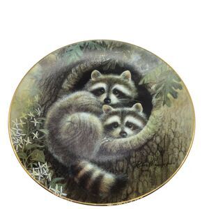 Raccoon Decorative Plate Hamilton Collection Hallow Hideaway '94 Woodland Babies
